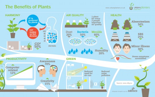 A diagram of the benefits of plants						